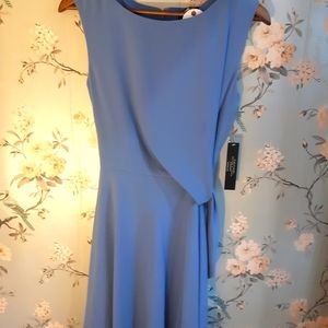 Gorgeous Tahari dress